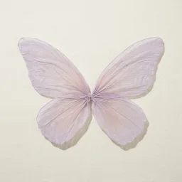 Fairy dress-up theme